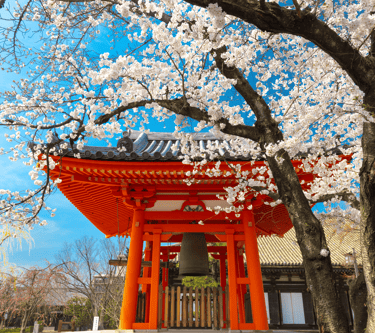 destinations-de-voyage-japon
