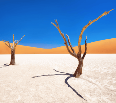 destinations-de-voyage-namibie