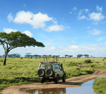 destinations-de-voyage-tanzanie