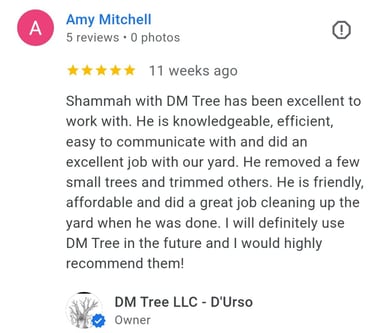 review from dm tree customer in Olathe Kansas. removed some trees and trimmed some.