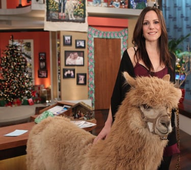 MARY LOUISE PARKER (WITH SPECIAL GUEST) ON THE BONNIE HUNT SHOW