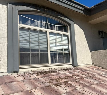 Heavy pigeon nesting and droppings under solar panels before and after professional cleanup.
