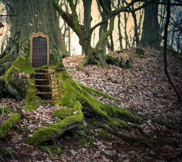 Bosco delle Fate, Carpegna Park, Carpegna, gichi per bambini, Bosco