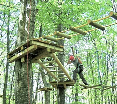 percorso Carpegna Park, parco avventura carpegna, divertimento per i bambini