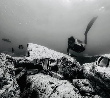 Snorkeling Costa Rica