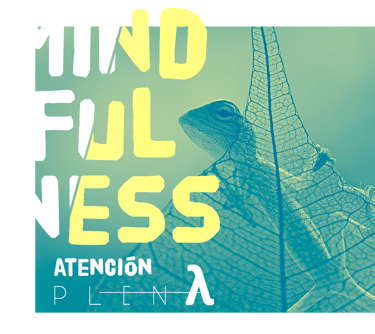 taller mindfulness atencion plena