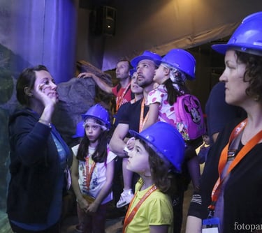 conoscere i pesci, intrattenimento per famiglie e bambini