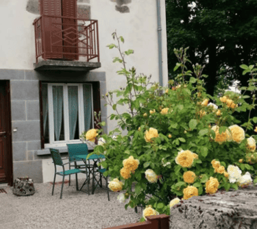 La petite cour devant le gîte avec la table et les chaises vertes, et un rosier jaune en floraison