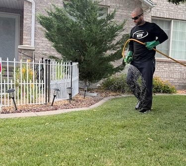 Lawn Fertilizer and Weed Control Company