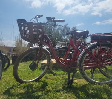 vélos location penvins