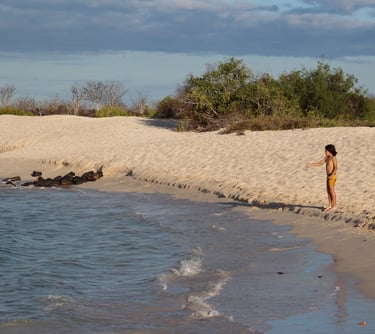 Curated tailor-made journey through the Galapagos Islands