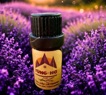 Tinh dầu Oải Hương Lavender