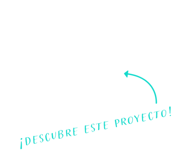 proyecto de branding