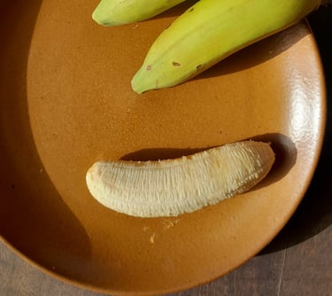 Banane gros plan