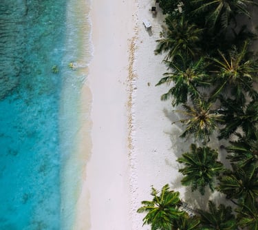 Aerial view of a tropical white sand beach with turquoise water and lush green palm trees.