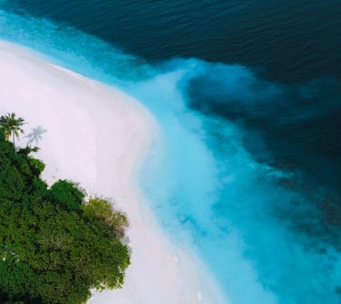 Aerial view of a tropical white sand beach with turquoise ocean water and lush green trees.