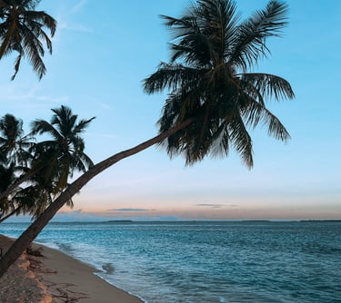 Tropical beach at sunset with leaning coconut palm trees over white sand and turquoise ocean waves.