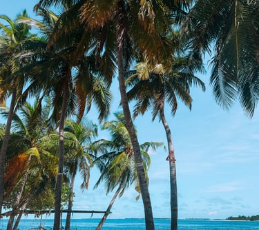 the best beaches in the maldives