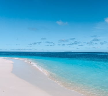 sand bank trips and tours can be organised in the hotel