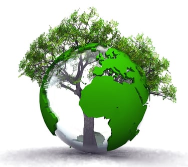 Informatique écologique