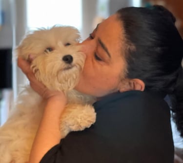 Maltipoo Snacks, Treats and Chews