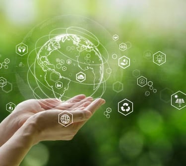 Impact on the environment