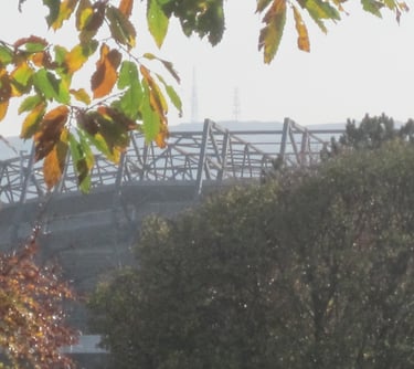 Murrayfield Stadium