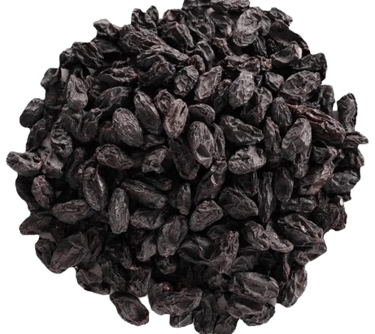 black raisin singapore