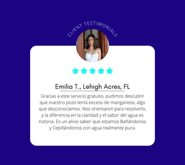 Testimonio