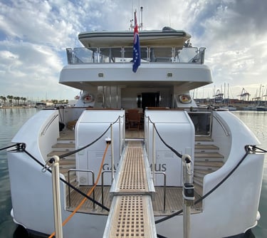 yacht parked with the ladder down