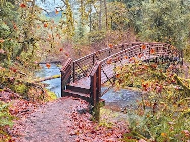 Waterfall Hwy, OR - Footbridge across the creek to get to Wolf Creek Falls trailhead