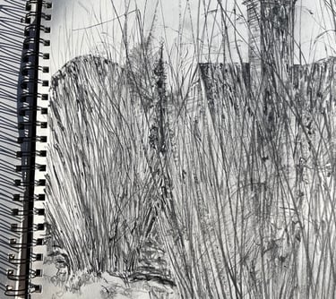 A3 sketchbook drawings: Dixter diary