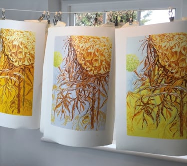 Linocut edition: Marigolds three ways