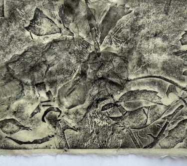 Graphite imprint: Rosa original experiment
