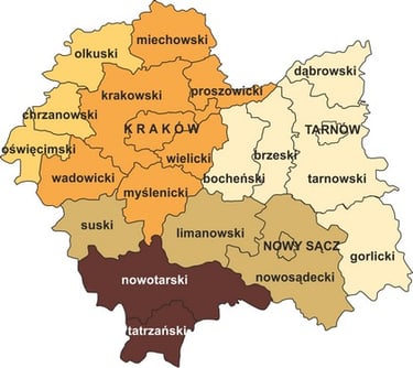 Rzeczoznawca kraków