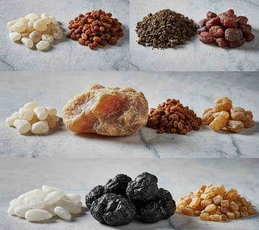 “Semi-solid herbal resin extract front view”