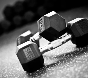 A picture of two dumbbells.