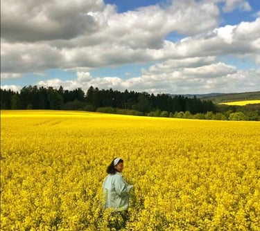 international tour packages price