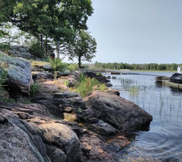 A rocky shoreline on Georgian Bay, evaluated by Aster Environmental during a Site Evaluation Report.