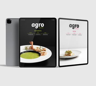 diseño epub agro magazine