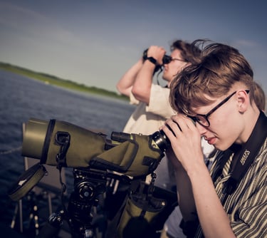 Pauksciu stebejimas Pamaryje Rusneje