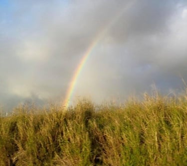 Rainbow of Hope