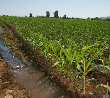 SST solidos suspendidos grasas y aceites Decreto 90