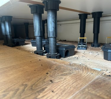 mouse dropping under kitchen unit