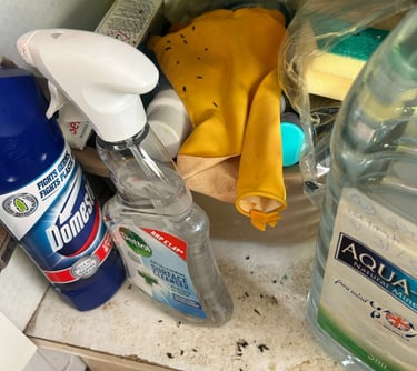 Mouse droppings in cupboard
