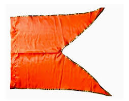 Shivaji maharaj flag