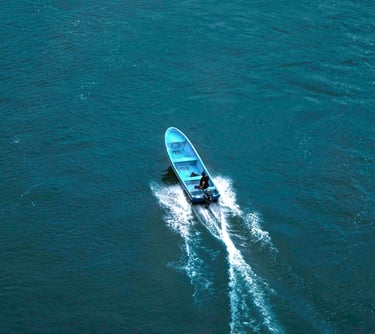 Panga puerto vallarta