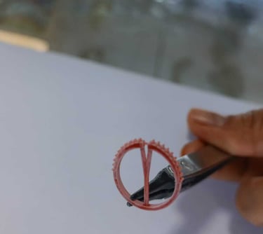 Impresión 3D en Cera de Churumbela 