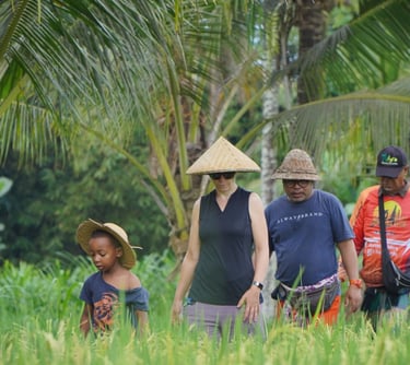 about Bali farming