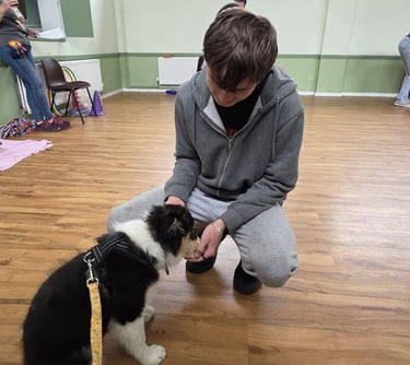 A teenager interacts with a puppy in a class setting